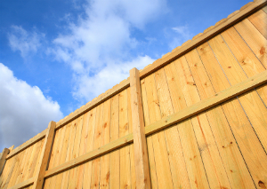 Fencing Issues